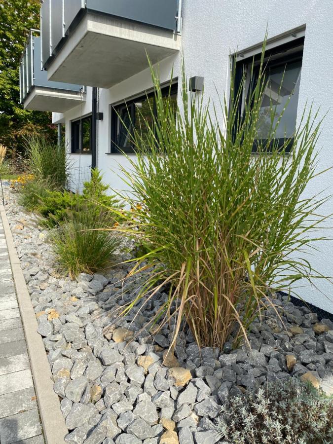 Rainer Appartements Besigheim Exteriér fotografie